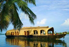 Palm and Backwater
